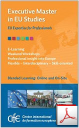 Flyer Exxecutive Master CIFE Professionals